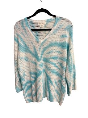 Skye's the Limit V-Neck Sweater in Blue and White